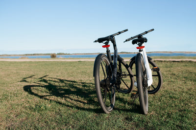 How Electric Bikes Help the Planet? Are They Really Good for the Environment? 