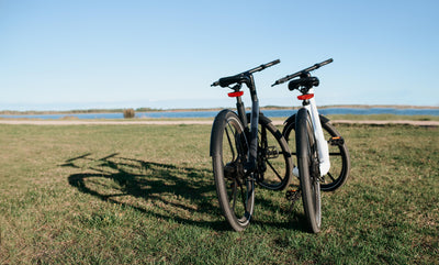 Tips for the Best Fall Activities You Can Do with an E-bike