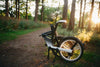 The Truths about Folding Electric Bikes You Should Know