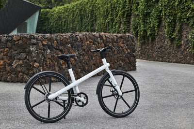 What Are the Advantages of Aluminum Frame Ebikes?